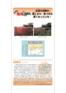 紅葉の時期が遅くなり、色づきも悪くなっている！