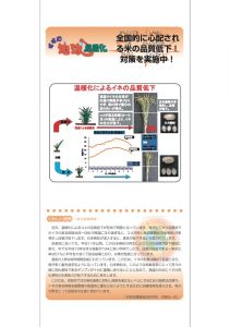 全国的に心配される米の品質低下。対策を実施中！