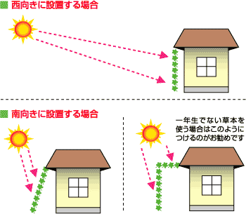 ネットを張る方角