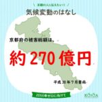 京都府の被害総額